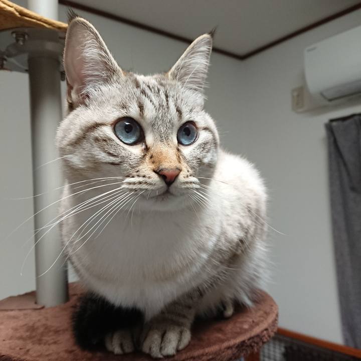 5c7928f2 db17 4f44 b083 1413327f39a5 1544949633385