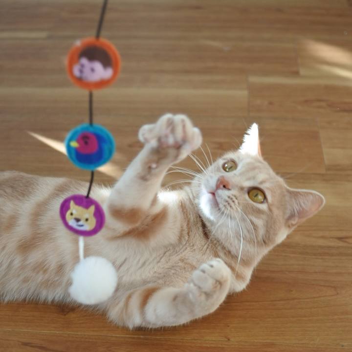 5c7945c2 59db 4551 95d6 8b0a9268aaba 1587802492619