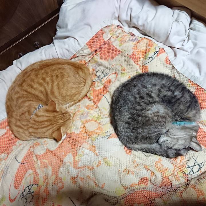 5c799110 d5b0 4328 afca d9bc61280d74 1570623937461