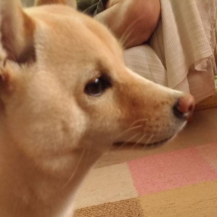 5c799c6c a9ca 420e 899a 5e3f48f3e402 1527117226474