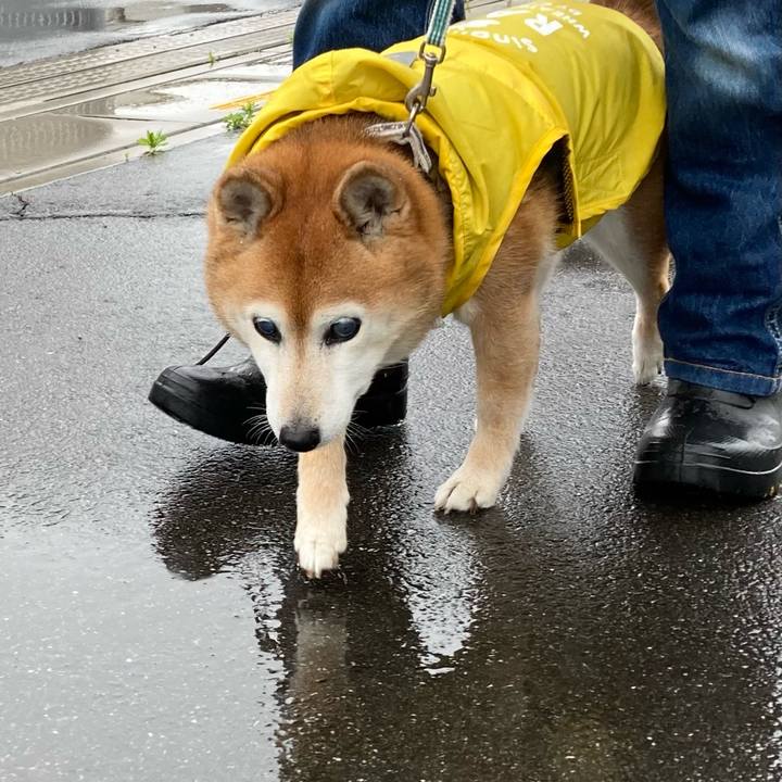 5c79baaf 1332 42de bd6d 14dc0f15859c 1746878954462