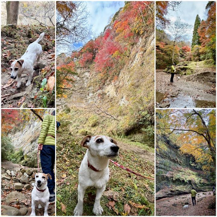 5c79cc1b 4cff 4802 bffc f6dde700afd0 1764412480765