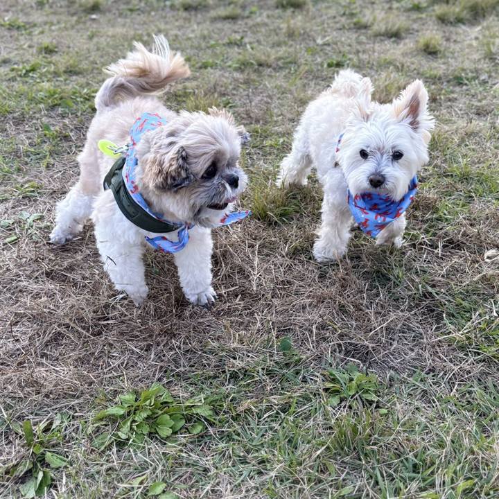 5c79e5c6 fd3b 47b5 a0f9 992edf345018 1761824602955