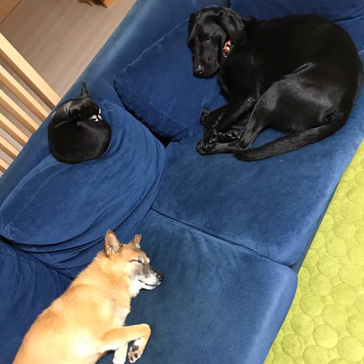 5c79f7a5 395a 476b 9c42 58e96d2dee17 1540724768094