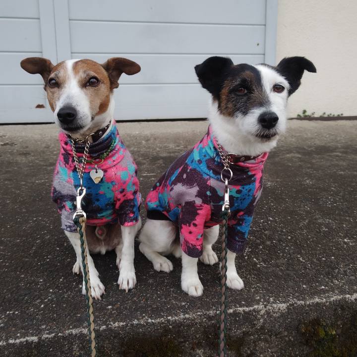 5c7a03fb fdf9 45b8 b1de 95841e702a49 1772143586160