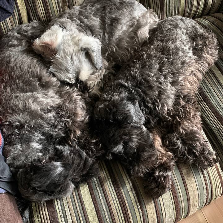 5c7a2960 d78b 4952 bb8e b0fd8974f861 1606006644022