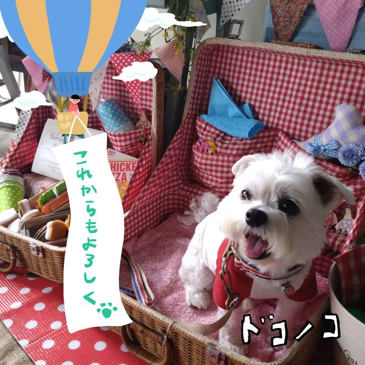 5c7a411a 04e9 47d0 9979 b2374243cda6 1685933048949