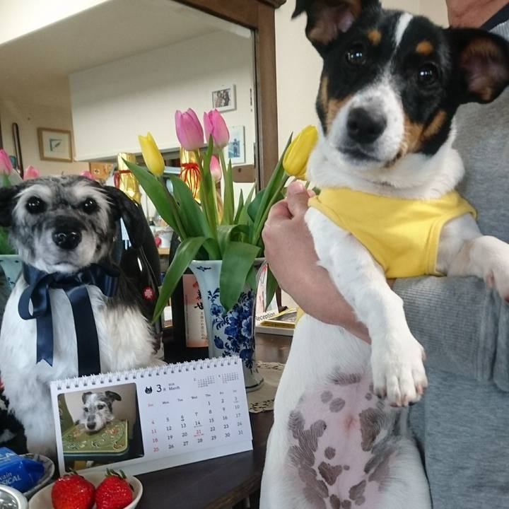 5c7a50ba 2302 4633 a869 e4b2192883c8 1519908331080