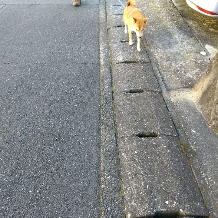 5c7a64d2 2560 4bf9 b64d f43eedfb6694 1513996024758