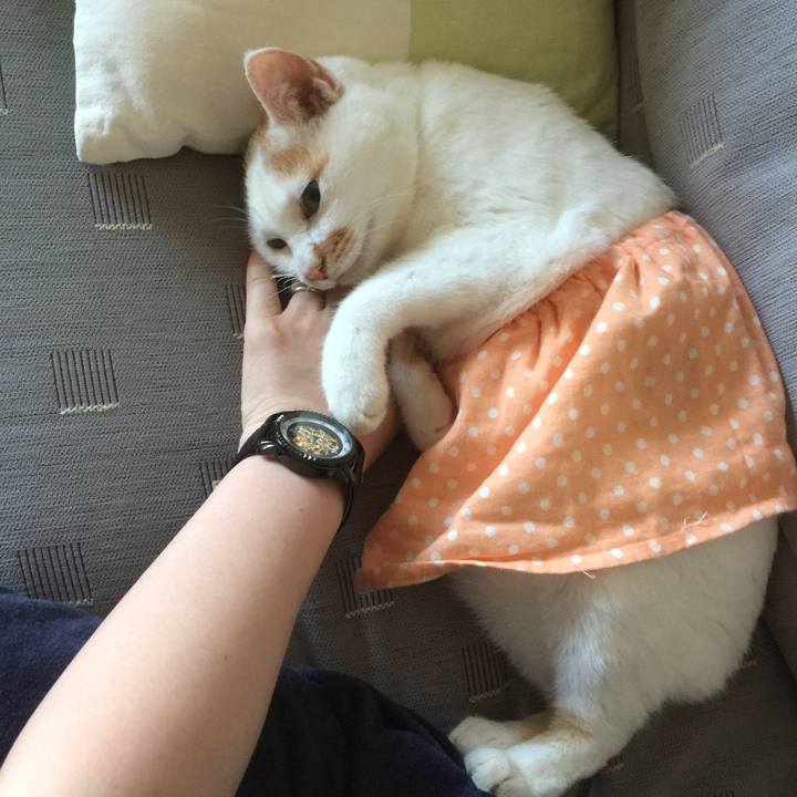 5c7a7b07 b3d0 4cea 8d55 7131e233a80f 1537587122075