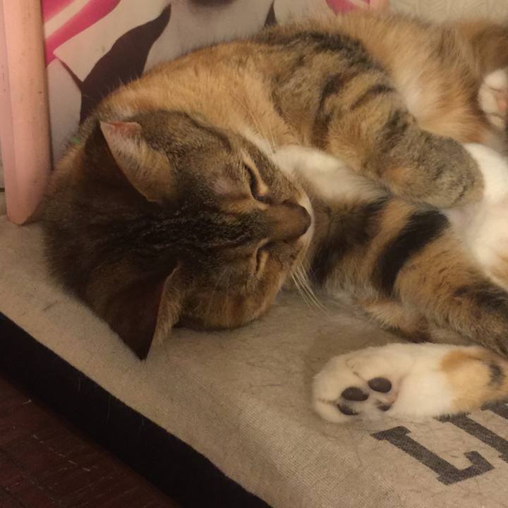 5c7a800d 417f 4dc6 8dca bff82c52b6fe 1547908187184