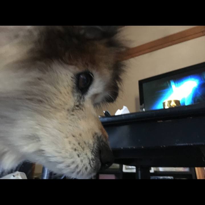 5c7a888a 6399 48b0 a10f 9c2b61ab2e5f 1604623997618