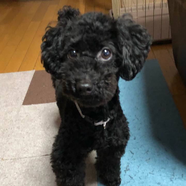 5c7ab9bc 1efd 4dfc b3d4 1b6135334067 1521593954740