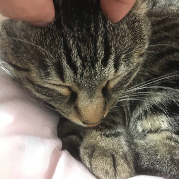 5c7ac164 f7bb 4be8 b861 ca344b31fa9c 1590784103410