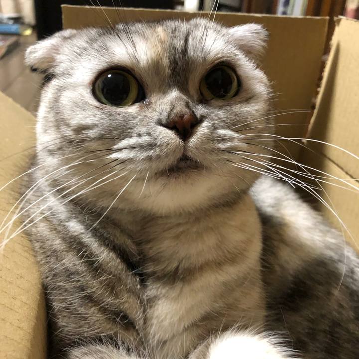 5c7ac37c bf34 4462 a0ac 04dec31164c1 1555418760172