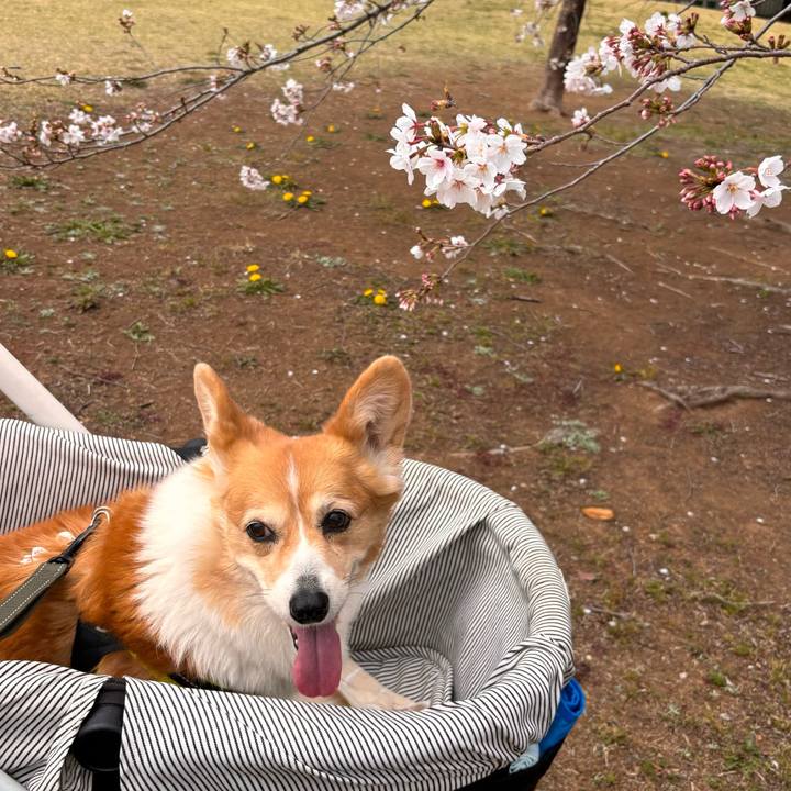 5c7b0d01 584e 40de 94a4 0393d2f70bc0 1774841829202