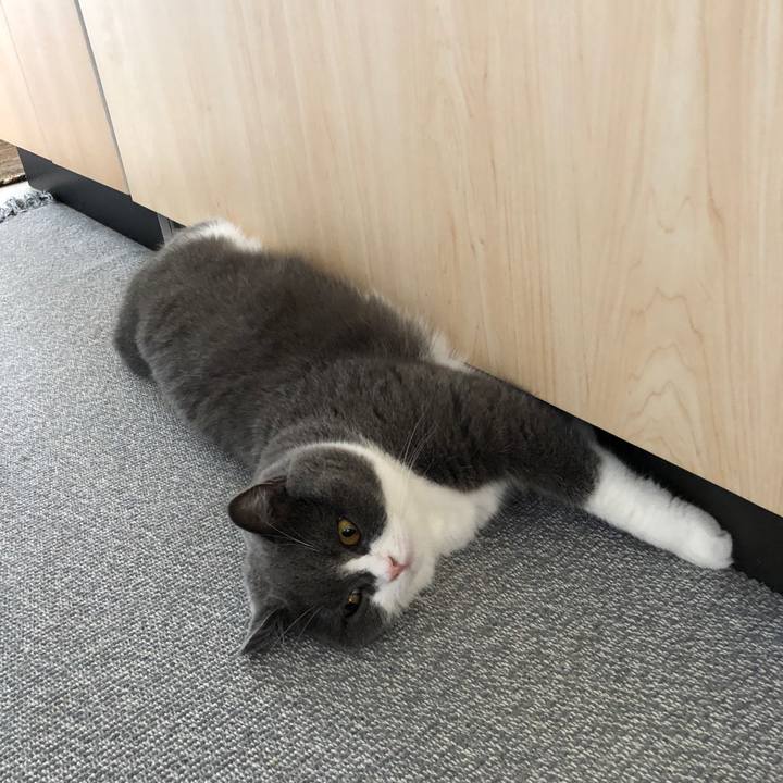 5c7ba6ca 953c 4530 ba34 87563781ef97 1597102761441