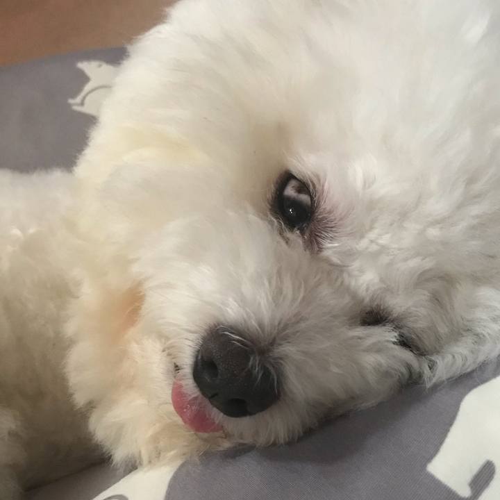 5c7bd55a 2671 4424 9b76 e8b490288060 1568960507036