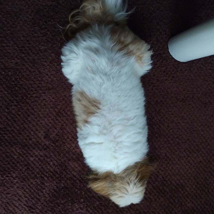 5c7c40d6 8380 4535 bac3 4528aff7ab62 1626324110658