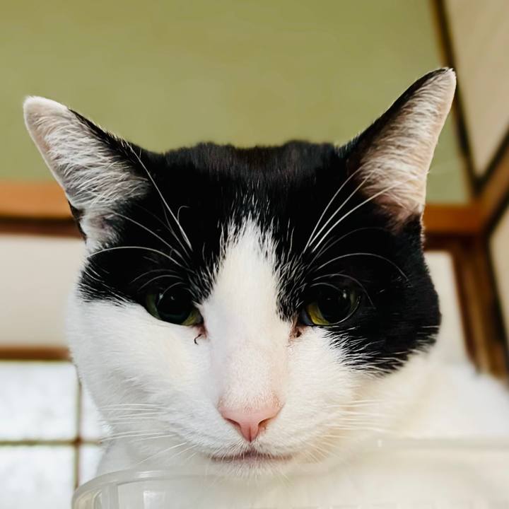 5c7c4baa a69d 462d ab8a d406ae4e891c 1609556686169