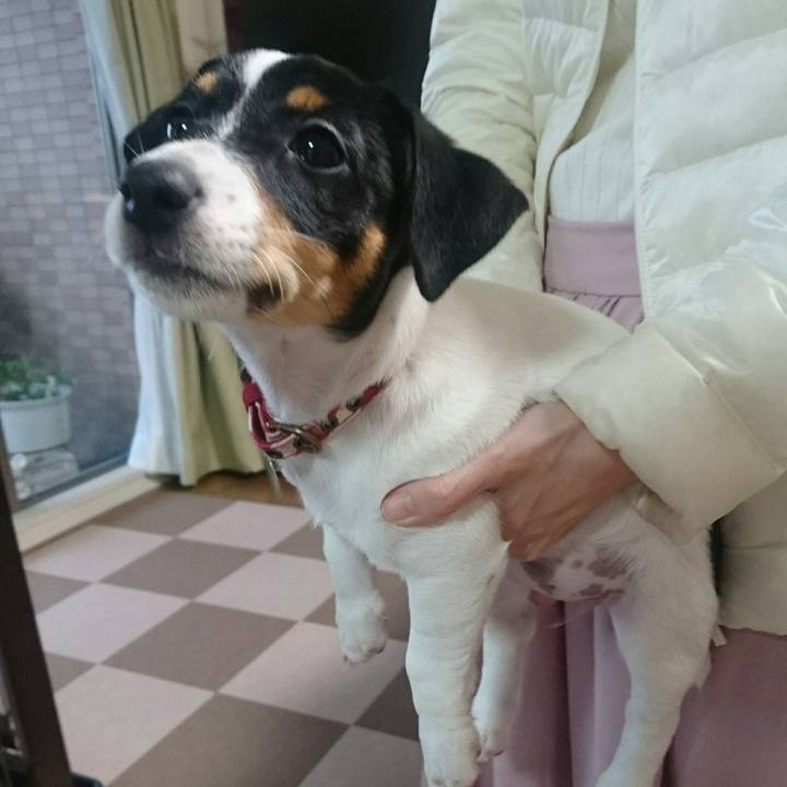 5c7cd729 bb9c 4d4f b7f7 d962a7009c8c 1510992952079