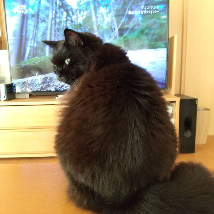 5c7d770e 95e4 4cdd 91f0 f299467354da 1633328296106