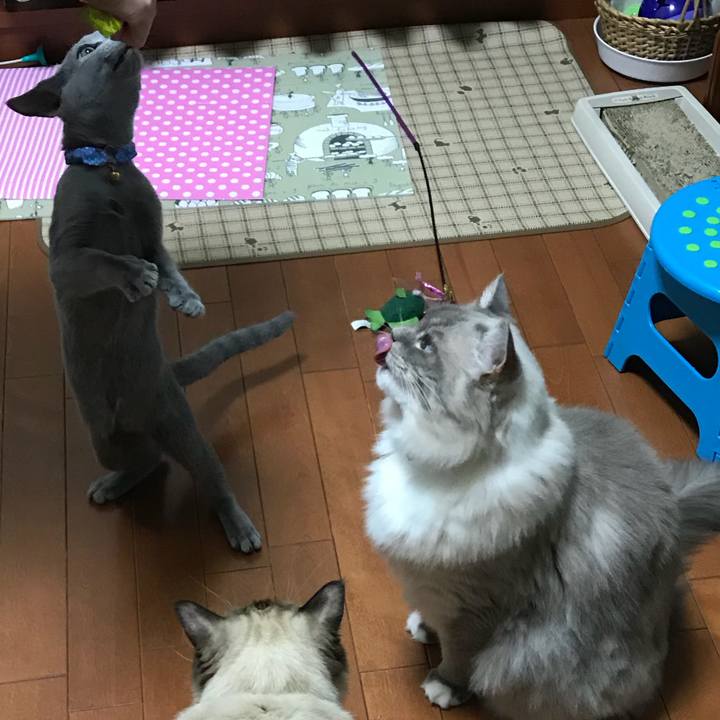 5c7d803d 0836 4099 90b6 dd0d813c4e00 1509172000819