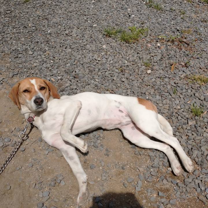 5c7d9012 f16a 46cd 84b8 a0de900593c3 1586925632966