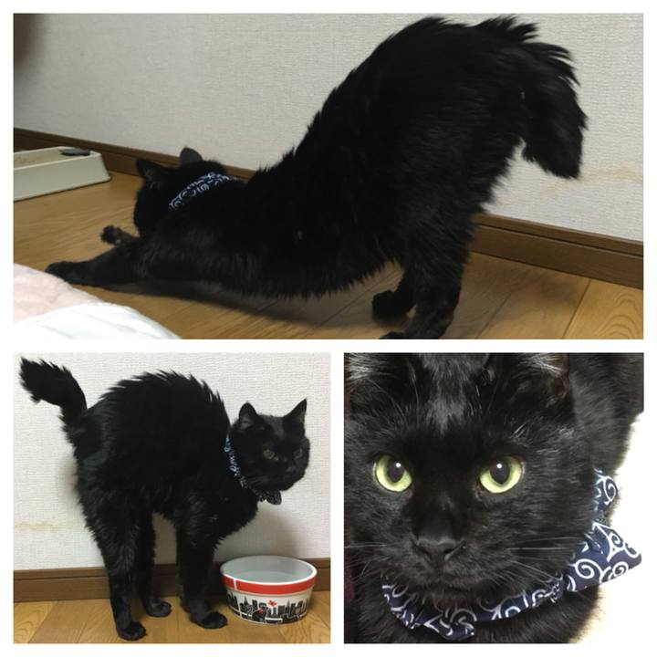 5c7d9088 fed9 4301 b59b e76bc3b9eba9 1545307181703