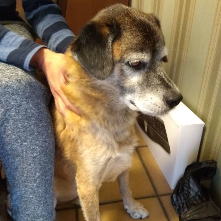 5c7d9293 13e4 4e1e 89f3 bd5a578eeaad 1572753710821