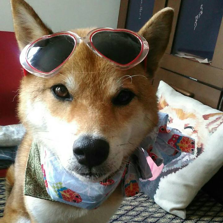 5c7daec5 8e1a 4a94 8224 152f3990eaab 1531877566096