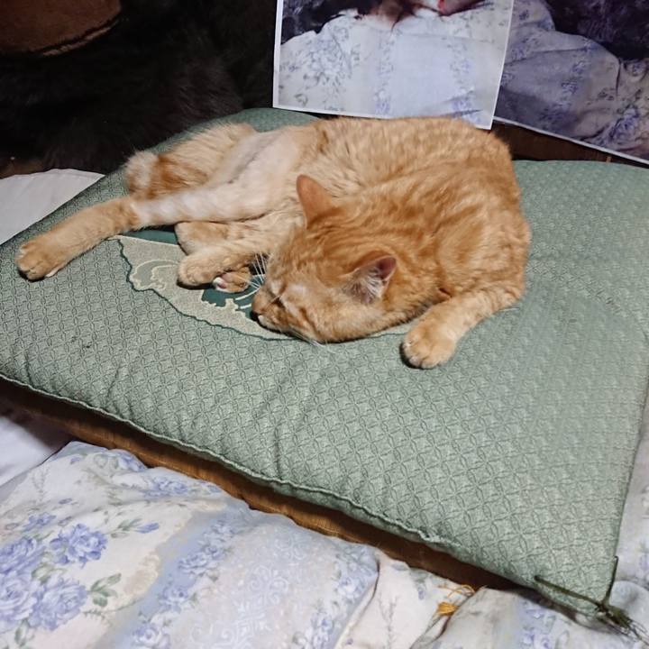 5c7dcd0c 3d14 438a 9a65 bd94a010daee 1656508231708