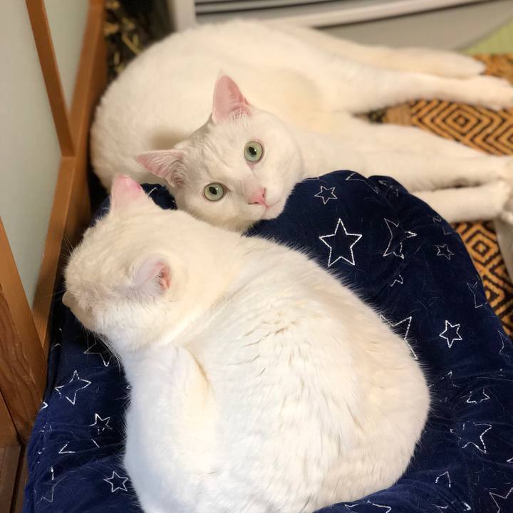 5c7deafc 360c 462b a148 2e5e37b7d0ba 1550808229902