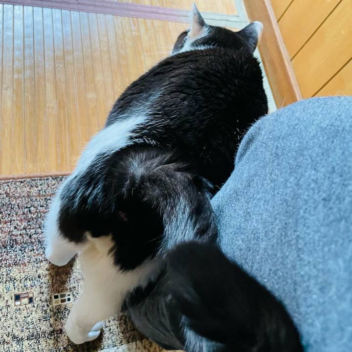 5c7e19de 6474 48eb 800b ffd578c9f117 1644804832516