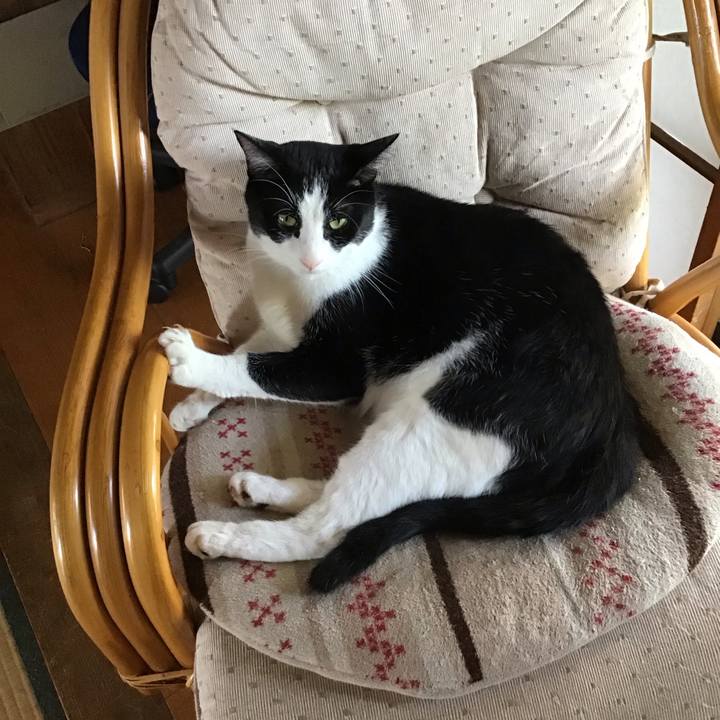 5c7e3478 6be6 4578 b9e6 ab4f10d7c01d 1690956372658