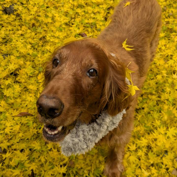 5c7e3510 4fcc 4197 a83f a25906f68361 1764150985573