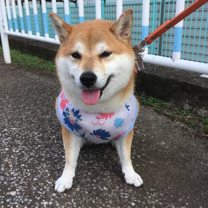 5c7e5fa7 d356 4c55 a35b 7f692e7a72f8 1539150808373