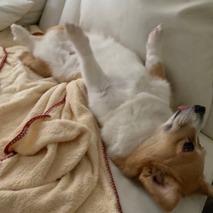 5c7e8e48 bdc8 4d2c 903a 1bb0e42d1bd8 1573363689221