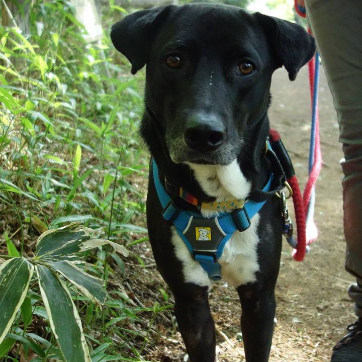 5c7e8f1a b017 4b43 af3a 9512bf55f35a 1619137570658