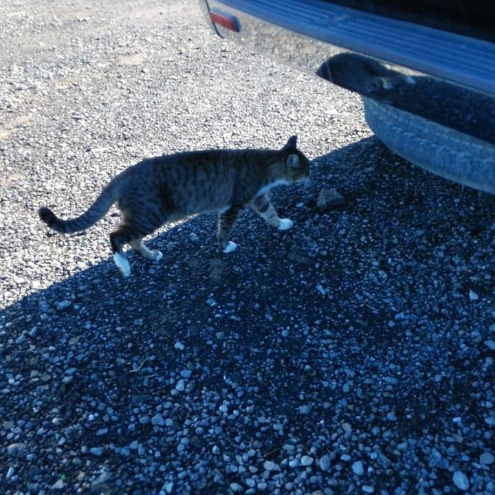 5c7ea5f2 4336 4b1c aec2 c1041bbf4f0e 1573516297865