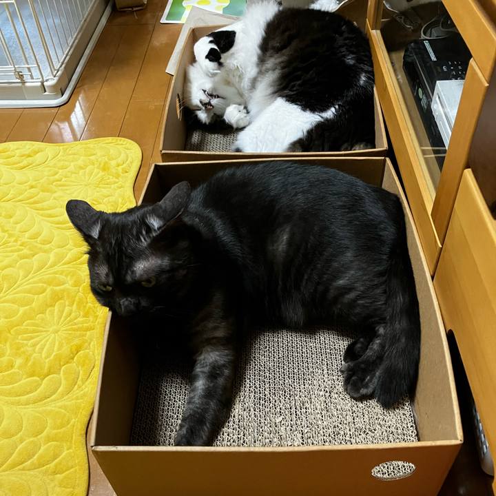 5c7ea954 e807 4b65 b4ce 0eb7a94efc0f 1727323393980