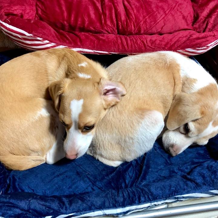 5c7ee689 5258 4388 8111 7cc7a14c6441 1563953217559