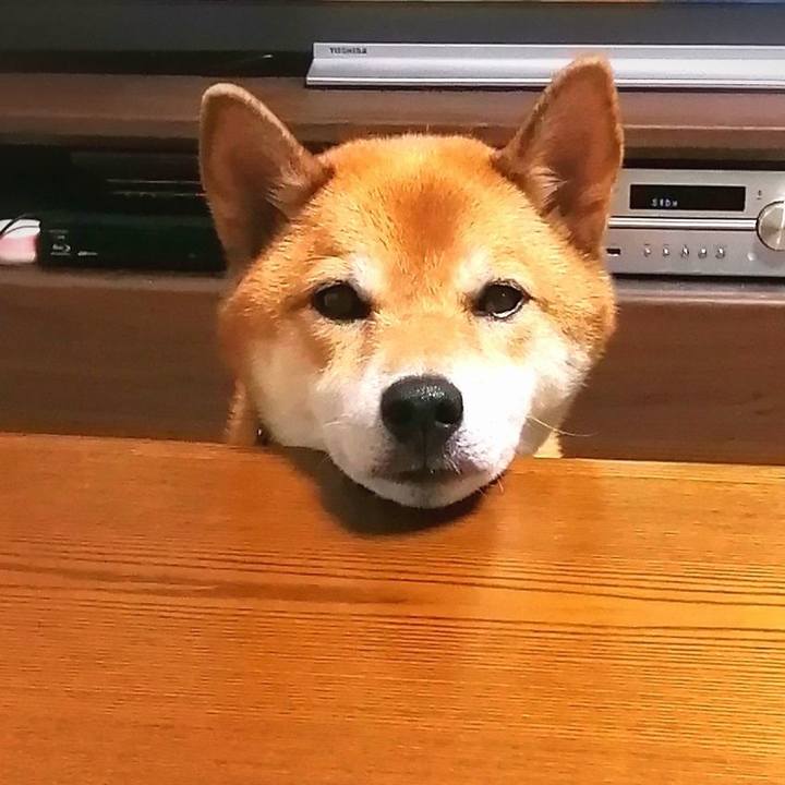 5c7efc42 22b5 4998 858d a629ccca5114 1599608778437