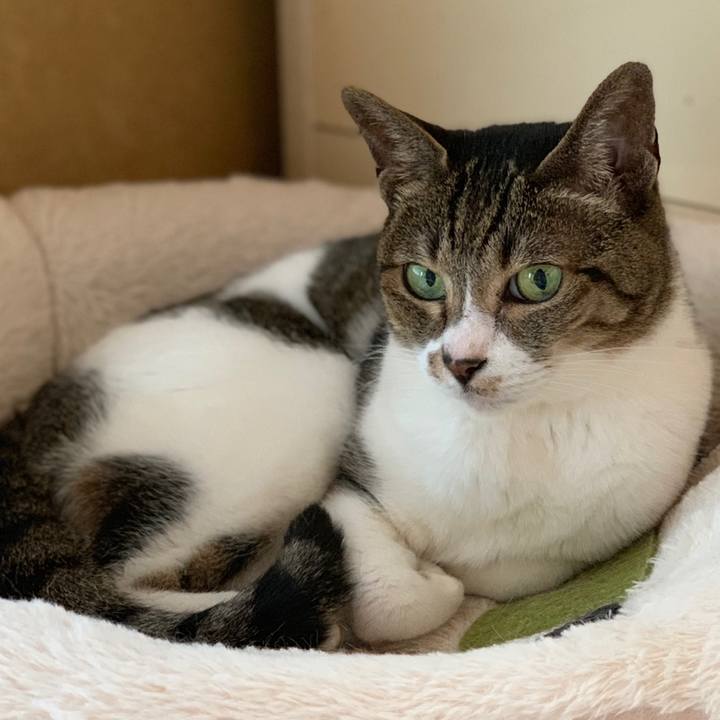 5c7f0286 b25f 428f 96b6 61ccfa18f5cd 1559351192506