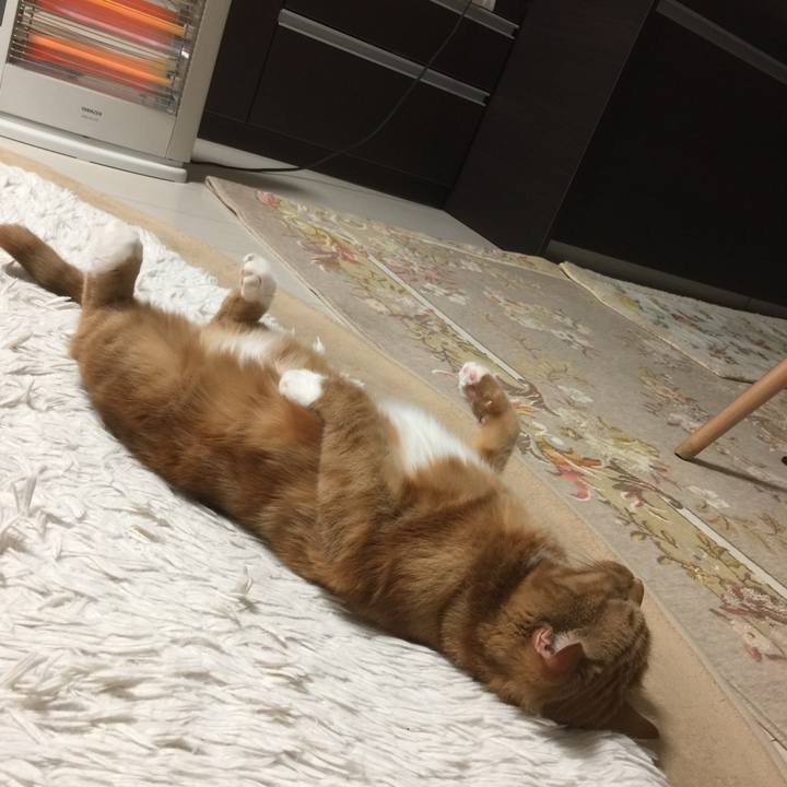 5c7f02dd 84fa 40fb 98b9 b7c8e2d6daad 1581944667712