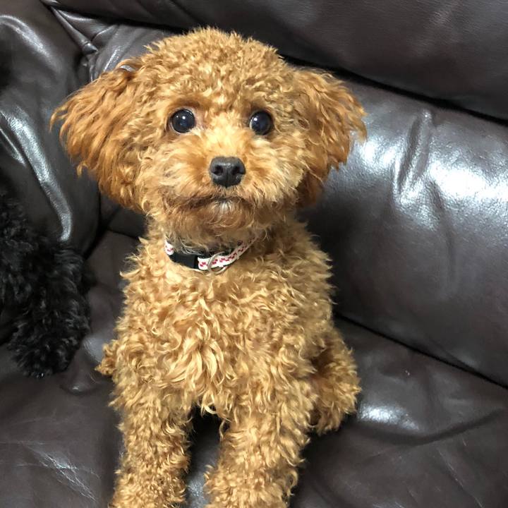 5c7f30ad 3038 4c24 915f a0f21bb4fb1d 1507894999315