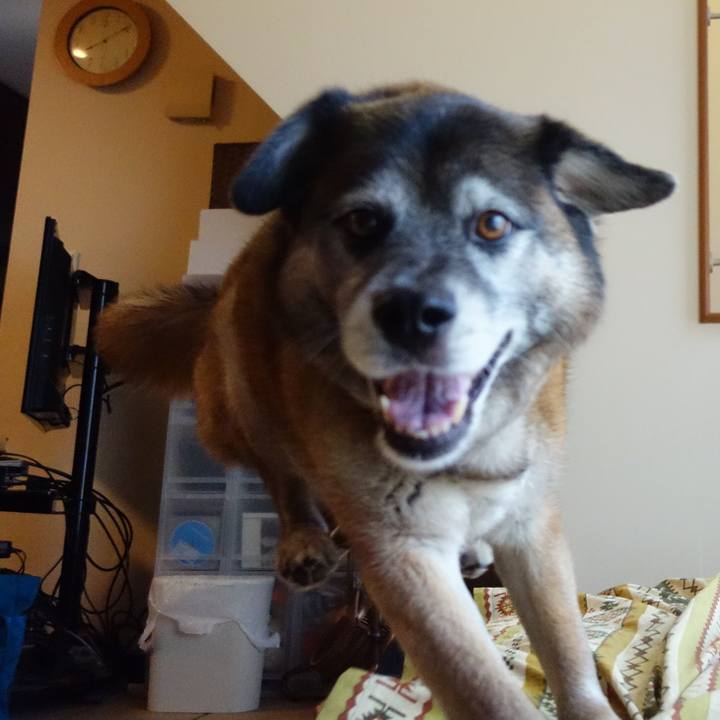 5c7f38a7 0363 4387 93e2 afea337d8b45 1527384339853