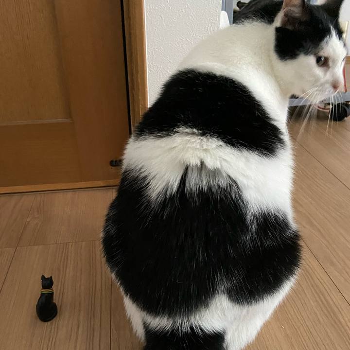 5c7f39e7 4ece 4e6b a280 ebda69afaa0e 1598688594539