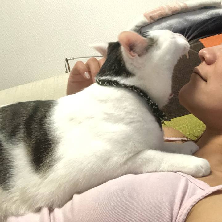 5c7f4364 8464 48d0 8b62 3226f02b60a0 1560577781848