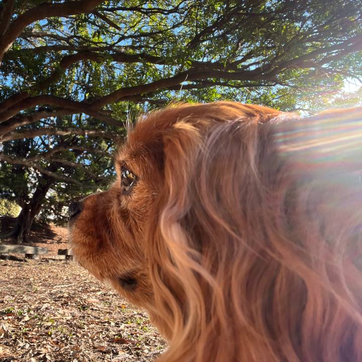 5c7f5c9b 9eba 457f bb79 0197f50eb79e 1707696588960